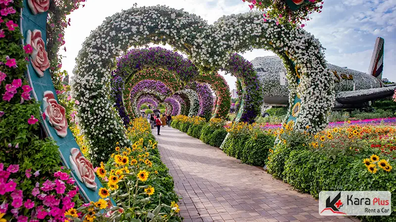 میراکل گاردن، زیباترین باغ گل جهان قیمت بلیط ورودی 2024