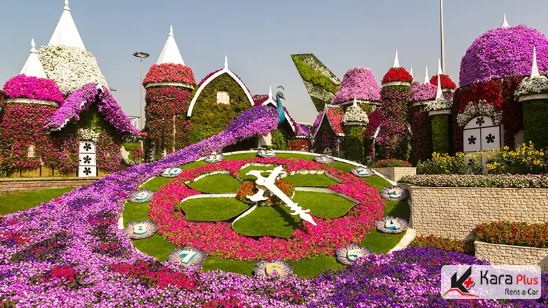 ساعتی ساخته شده از گل در باغ گل دبی